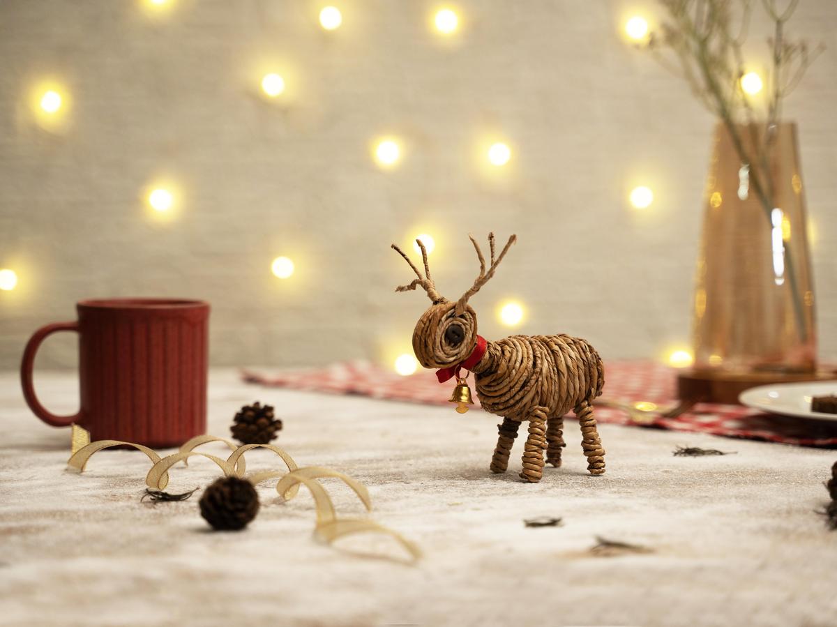 The Hindu — "Usher in the season with these eco-friendly Christmas decorations" - Greenkraft