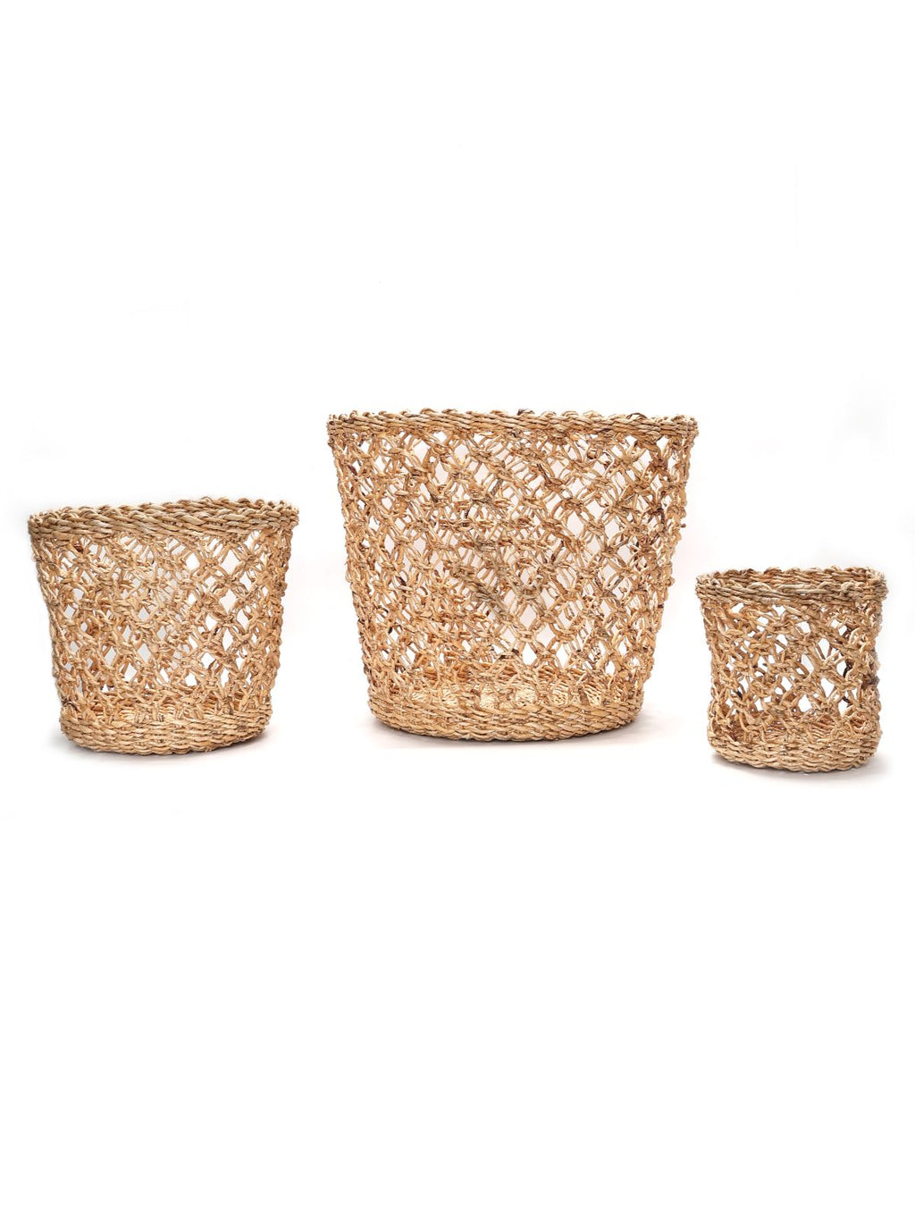 Lucknow Jaali Planter