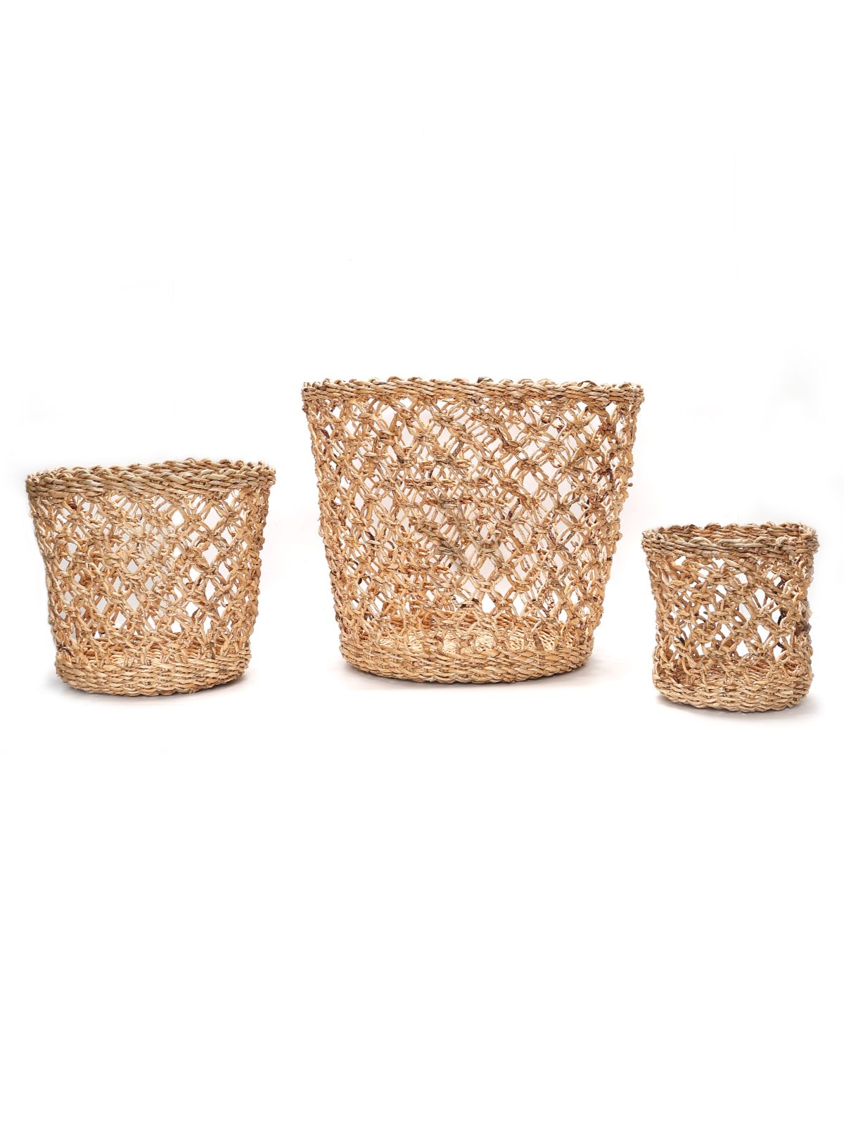 Lucknow Jaali Planter