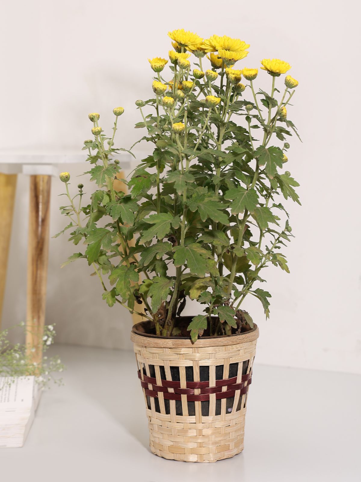 Kohima Weave Planter