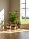Kohima Weave Planter