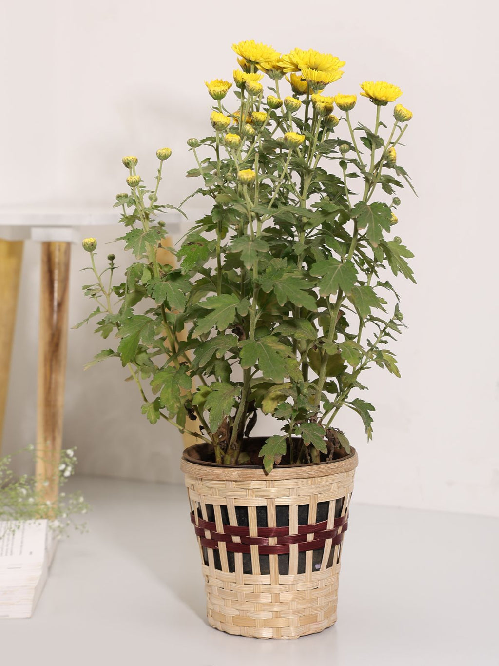 Kohima Weave Planter - Greenkraft